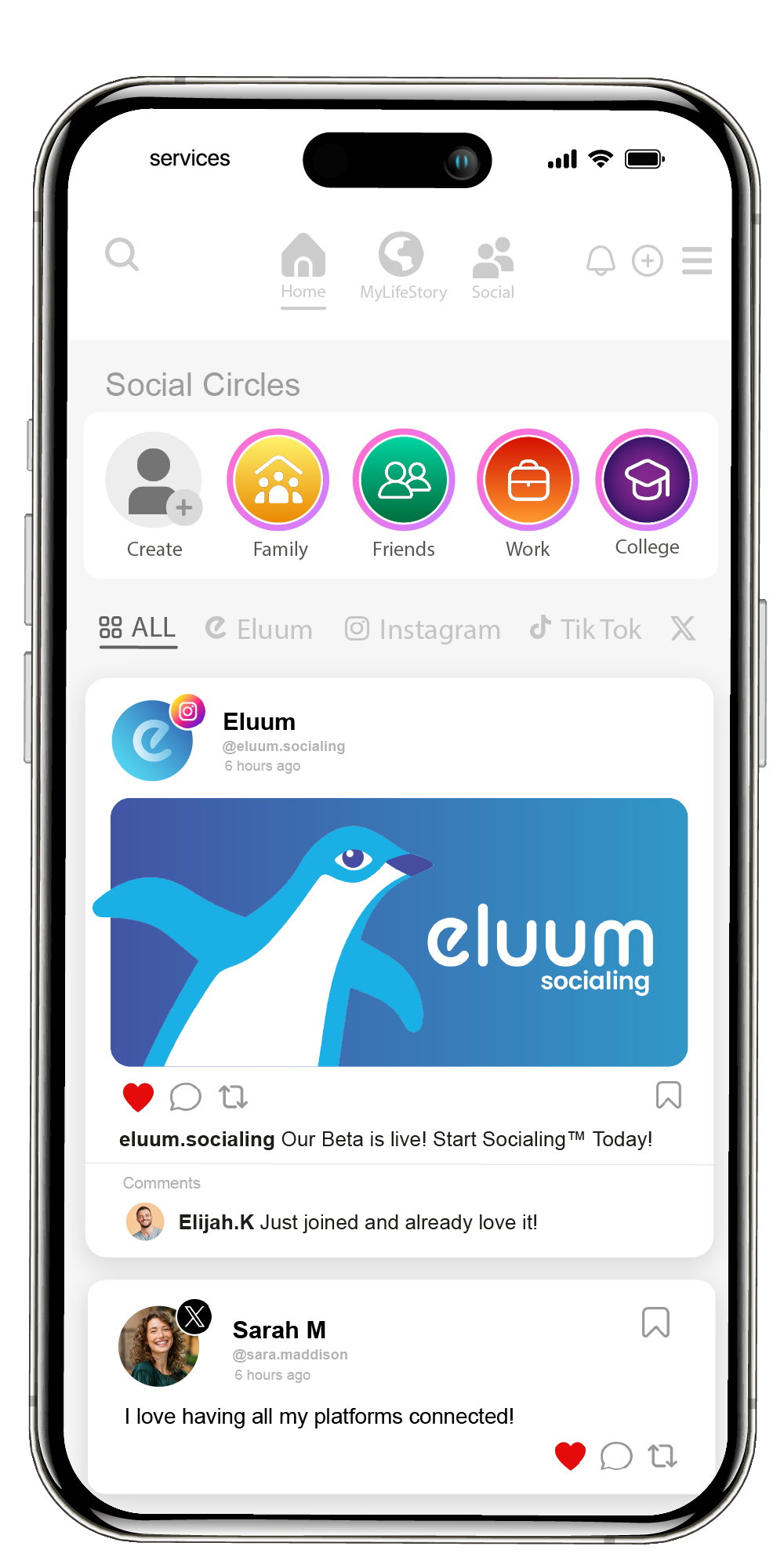 Eluum App Interface